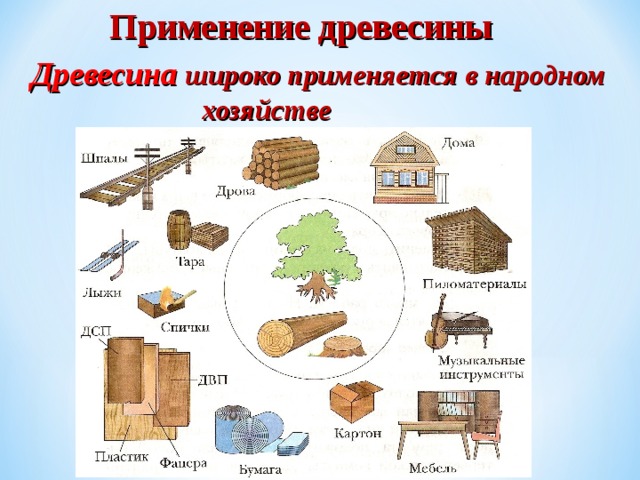области использования древесины