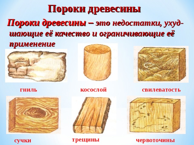 Пороки древесины Пороки древесины – это недостатки, ухуд-  шающие её качество и ограничивающие её  применение гниль косослой свилеватость трещины червоточины сучки 