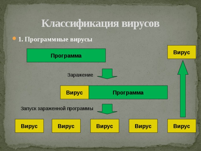 Как размножается программный вирус программа вирус один раз копируется