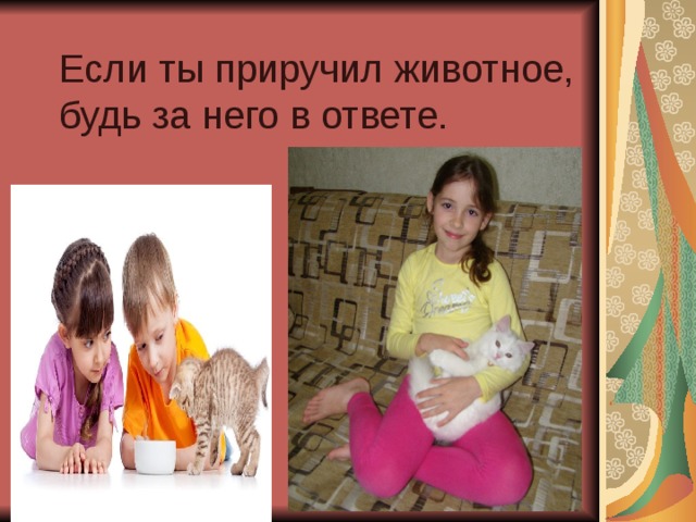 Если ты приручил животное, будь за него в ответе. 