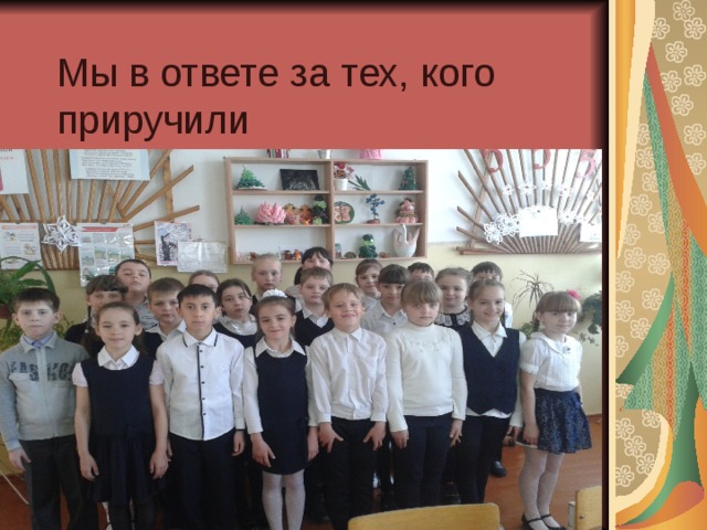 Мы в ответе за тех, кого приручили 