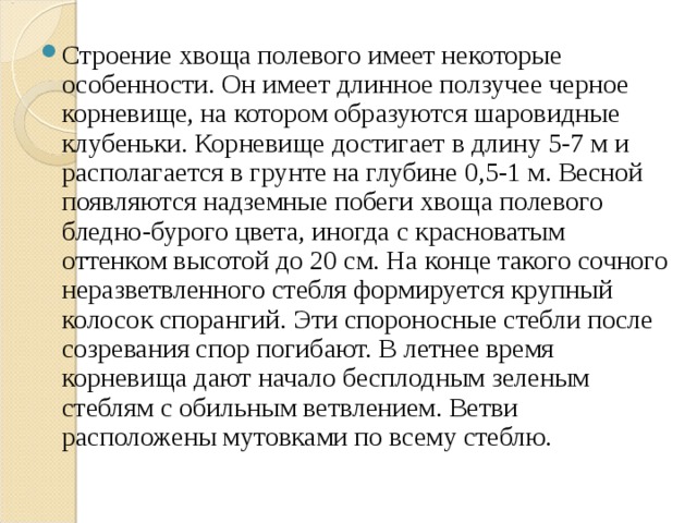 Строение хвоща полевого имеет некоторые особенности. Он имеет длинное ползучее черное корневище, на котором образуются шаровидные клубеньки. Корневище достигает в длину 5-7 м и располагается в грунте на глубине 0,5-1 м. Весной появляются надземные побеги хвоща полевого бледно-бурого цвета, иногда с красноватым оттенком высотой до 20 см. На конце такого сочного неразветвленного стебля формируется крупный колосок спорангий. Эти спороносные стебли после созревания спор погибают. В летнее время корневища дают начало бесплодным зеленым стеблям с обильным ветвлением. Ветви расположены мутовками по всему стеблю . 