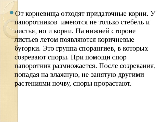 У папоротников споры созревают в. Какие корни отходят от корневища. От придаточного корня отходят несколько. От них отходят корни.