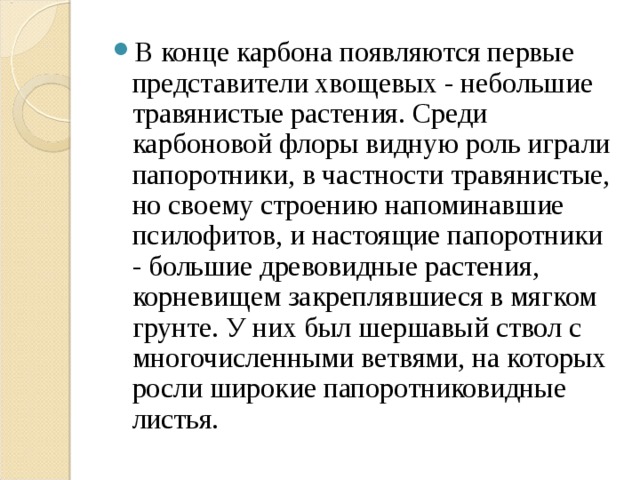 В конце карбона появляются первые представители хвощевых - небольшие травянистые растения. Среди карбоновой флоры видную роль играли папоротники, в частности травянистые, но своему строению напоминавшие псилофитов, и настоящие папоротники - большие древовидные растения, корневищем закреплявшиеся в мягком грунте. У них был шершавый ствол с многочисленными ветвями, на которых росли широкие папоротниковидные листья.  