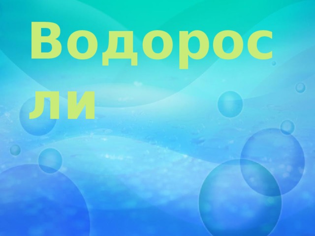 Водоросли   