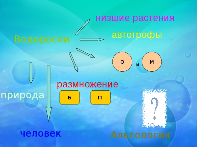 низшие растения автотрофы Водоросли (ок.30 тыс.) О М и размножение природа П Б Опорный конспект, содержащий основные сведения о водорослях. Ставится проблема которая решается в ходе объяснения материала человек Альгология  