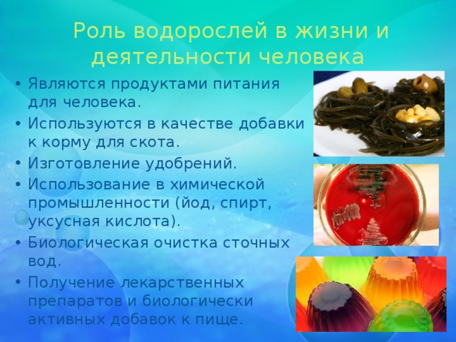   Роль водорослей в жизни и деятельности человека Являются продуктами питания для человека. Используются в качестве добавки к корму для скота. Изготовление удобрений. Использование в химической промышленности (йод, спирт, уксусная кислота). Биологическая очистка сточных вод. Получение лекарственных препаратов и биологически активных добавок к пище. 