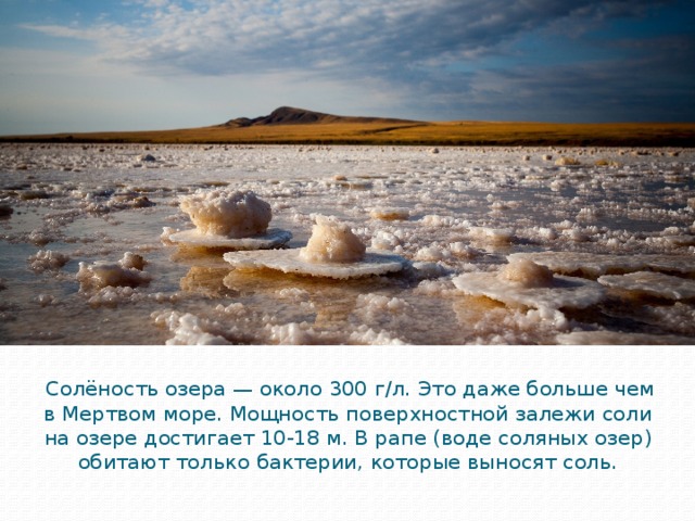  Солёность озера — около 300 г/л. Это даже больше чем в Мертвом море. Мощность поверхностной залежи соли на озере достигает 10-18 м. В рапе (воде соляных озер) обитают только бактерии, которые выносят соль. 