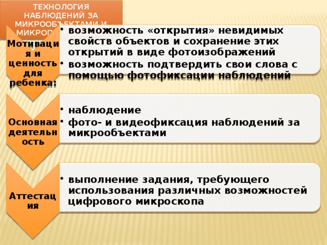 Мотивация и ценность для ребенка: возможность «открытия» невидимых свойств объектов и сохранение этих открытий в виде фотоизображений возможность подтвердить свои слова с помощью фотофиксации наблюдений возможность «открытия» невидимых свойств объектов и сохранение этих открытий в виде фотоизображений возможность подтвердить свои слова с помощью фотофиксации наблюдений Основная деятельность наблюдение фото- и видеофиксация наблюдений за микрообъектами наблюдение фото- и видеофиксация наблюдений за микрообъектами Аттестация выполнение задания, требующего использования различных возможностей цифрового микроскопа выполнение задания, требующего использования различных возможностей цифрового микроскопа Технология наблюдений за микрообъектами и микропроцессами