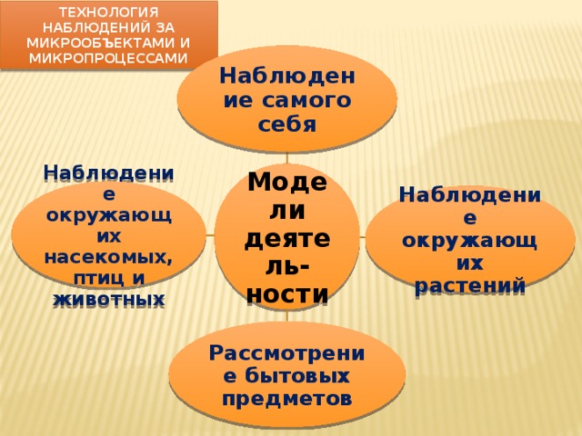 Технология наблюдений за микрообъектами и микропроцессами Наблюдение самого себя Модели деятель-ности Наблюдение окружающих насекомых, птиц и животных Наблюдение окружающих растений Рассмотрение бытовых предметов