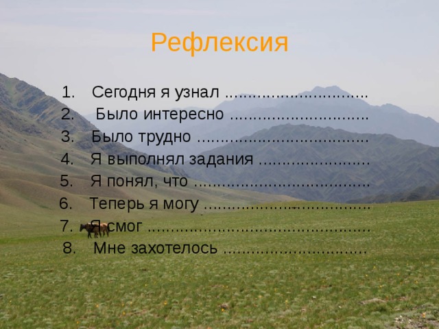 Рефлексия