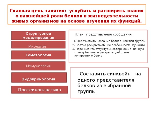 Главная цель занятия: углубить и расширить знания о важнейшей роли белков в жизнедеятельности живых организмов на основе изучения их функций.  План представления сообщения:  1. Перечислить названия белков каждой группы  2. Кратко раскрыть общие особенности функции  3. Перечислить структуры, содержащие данную группу белков и раскрыть действие конкретного белка Структурное моделирование Миология  Гематология Иммунология   Составить синквейн на одного представителя белков из выбранной группы  Эндокринология  Протеинопластика 