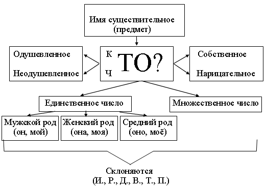 Имя существительное схема 2 класс