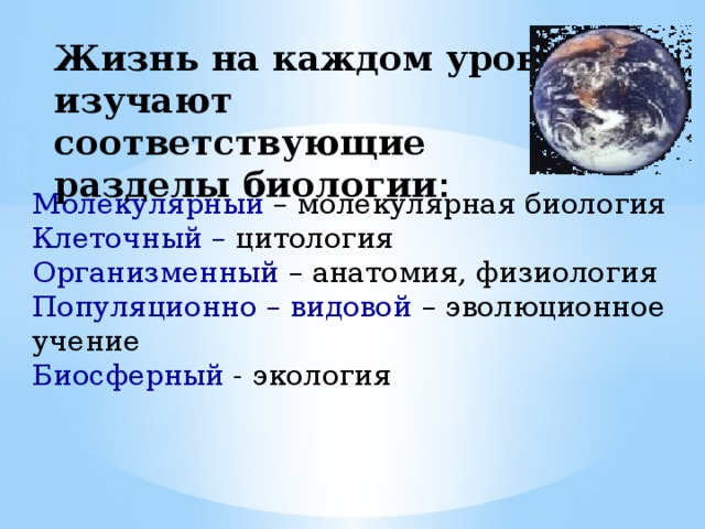 Жизнь на каждом уровне изучают соответствующие разделы биологии :    Молекулярный – молекулярная биология Клеточный – цитология Организменный – анатомия, физиология Популяционно – видовой – эволюционное учение Биосферный - экология 