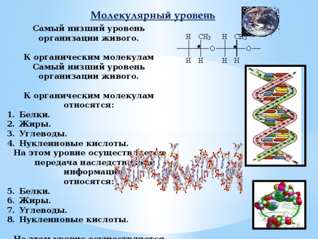 Молекулярный уровень организации живого