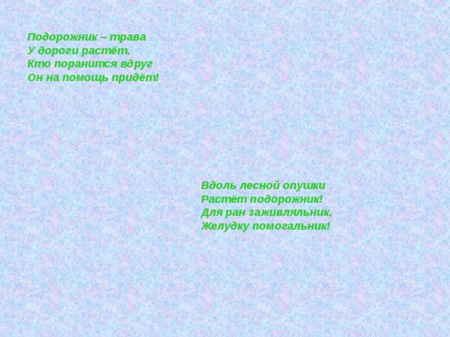 Подорожник трава песня. Песни подорожник трава. Подорожник трава текст. Подорожник трава Ноты. Подорожник песня текст.