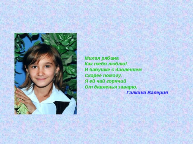 Милая рябина Как тебя люблю! И бабушке с давлением Скорее помогу. Я ей чай горячий От давленья заварю.  Галкина Валерия  