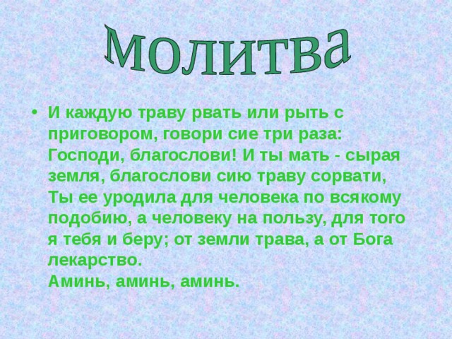 И каждую траву рвать или рыть с приговором, говори сие три раза:  Господи, благослови! И ты мать - сырая земля, благослови сию траву сорвати, Ты ее уродила для человека по всякому подобию, а человеку на пользу, для того я тебя и беру; от земли трава, а от Бога лекарство.  Аминь, аминь, аминь.  