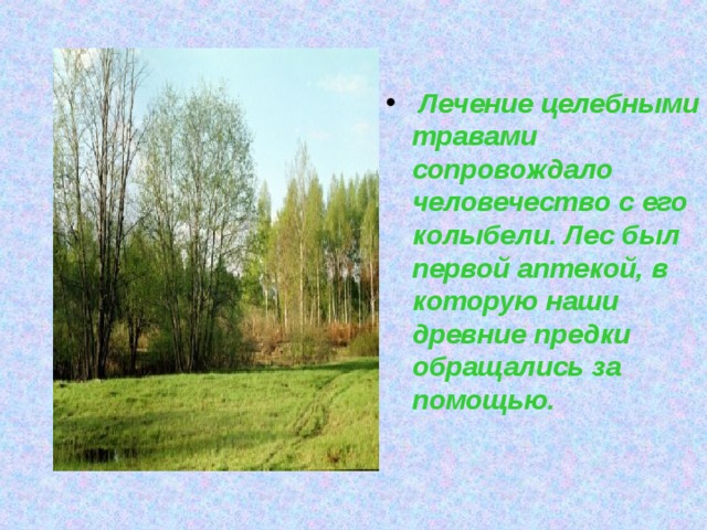  Лечение целебными травами сопровождало человечество с его колыбели. Лес был первой аптекой, в которую наши древние предки обращались за помощью. 