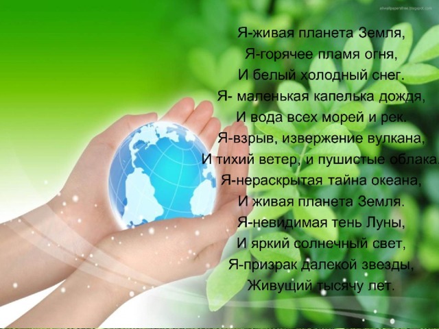 ДОШКОЛЬНИК И ЭКОЛОГИЯ 