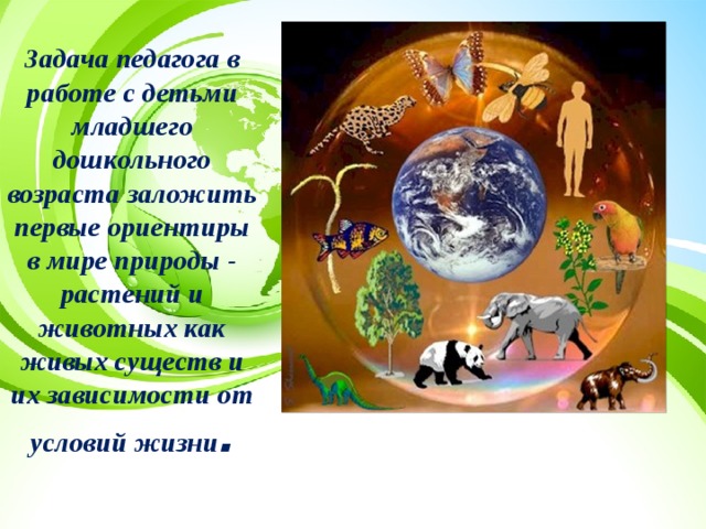 Задача педагога в работе с детьми младшего дошкольного возраста заложить первые ориентиры в мире природы - растений и животных как живых существ и их зависимости от условий жизни .   