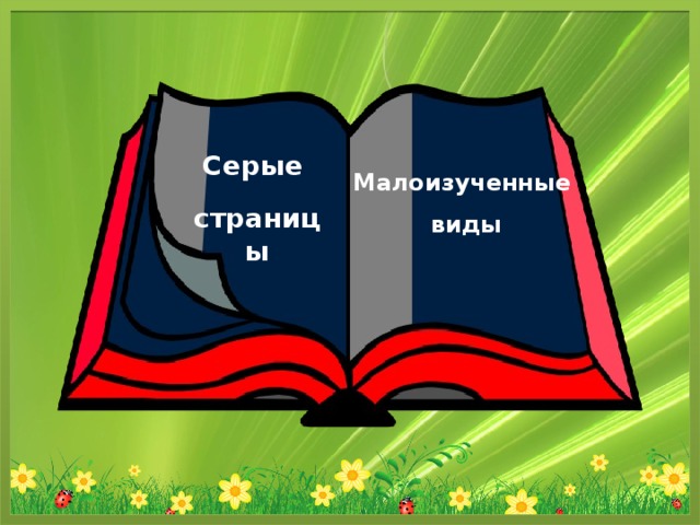 Серые страницы Малоизученные виды