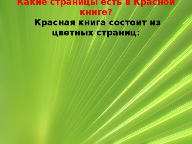 Какие страницы есть в Красной книге?  Красная книга состоит из цветных страниц: