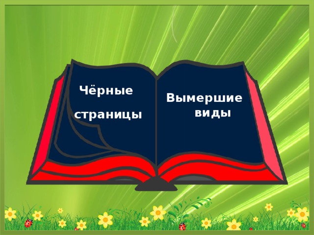 Красная книга черные страницы