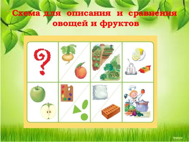Схема для описания и сравнения овощей и фруктов 