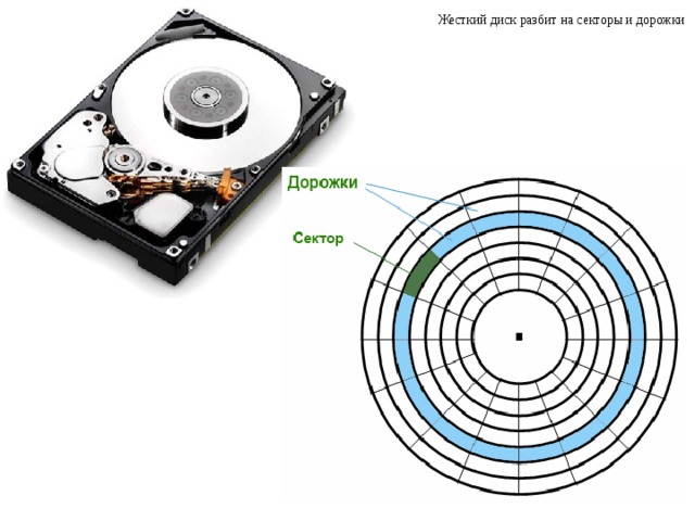 Поверхность магнитного диска разбита на секторы это позволяет