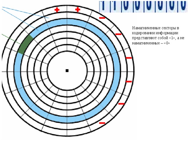Намагниченные секторы в кодировании информации представляют собой «1», а не намагниченные – «0» 