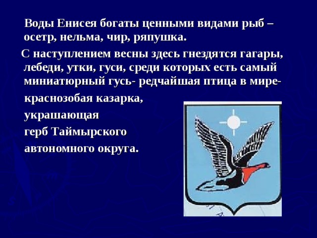  Воды Енисея богаты ценными видами рыб – осетр, нельма, чир, ряпушка.  С наступлением весны здесь гнездятся гагары, лебеди, утки, гуси, среди которых есть самый миниатюрный гусь- редчайшая птица в мире-  краснозобая казарка,  украшающая  герб Таймырского  автономного округа. 