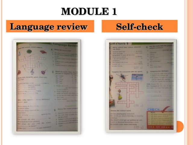 MODULE 1 Language review Self-check 