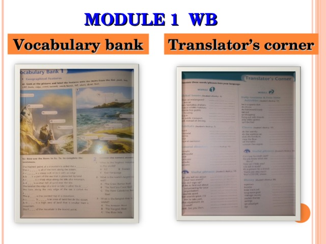 MODULE 1 WB Vocabulary bank Translator’s corner 