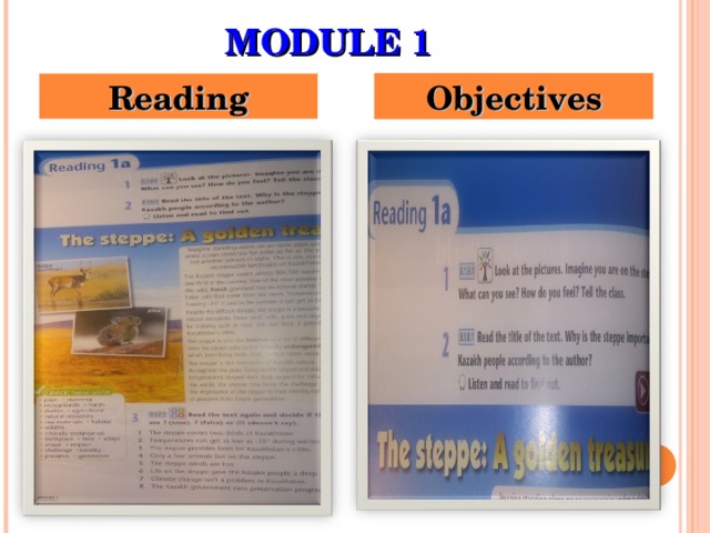 MODULE 1 Reading Objectives 