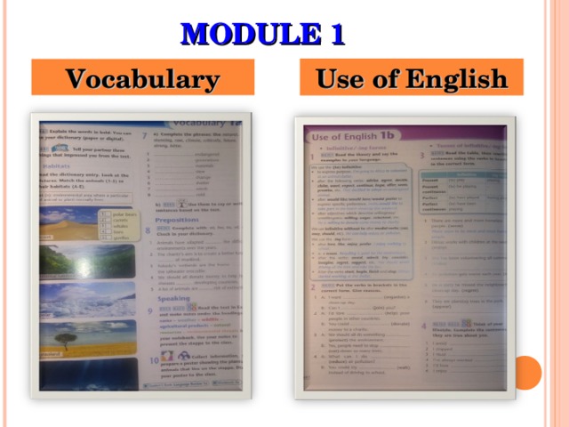 MODULE 1 Vocabulary Use of English 