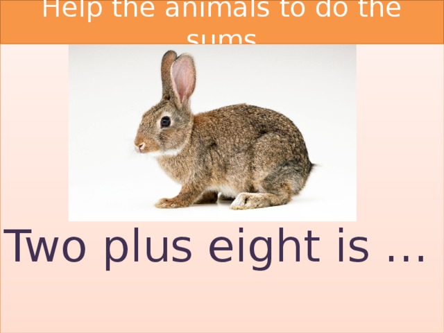 Help the animals to do the sums Two plus eight is … 