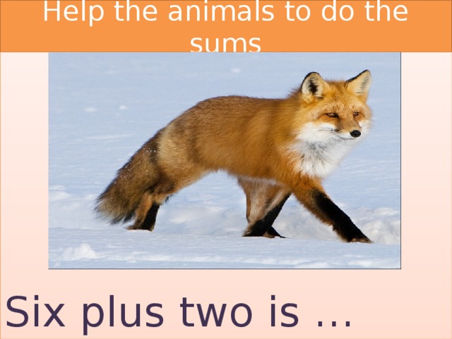 Help the animals to do the sums Six plus two is … 