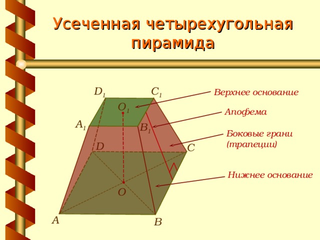 Усеченная четырехугольная пирамида C 1 D 1 Верхнее основание   О 1 Апофема   A 1 B 1 Боковые грани (трапеции)   D С Нижнее основание О А В 