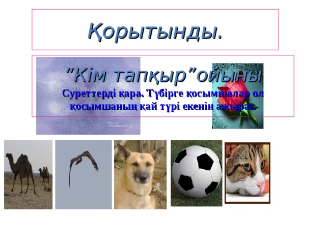 Қорытынды. “ Кім тапқыр”ойыны  Суреттерді қара. Түбірге қосымшалар ол қосымшаның қай түрі екенін ажырат. 