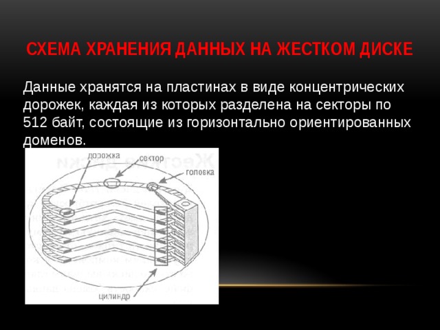 Схема хранения данных на жестком диске Данные хранятся на пластинах в виде концентрических дорожек, каждая из которых разделена на секторы по 512 байт, состоящие из горизонтально ориентированных доменов. 