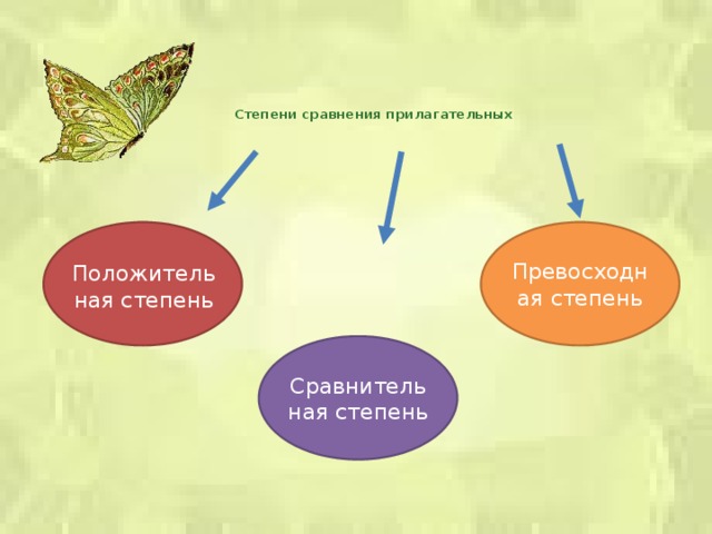 Степени сравнения прилагательных Превосходная степень Положительная степень Сравнительная степень 