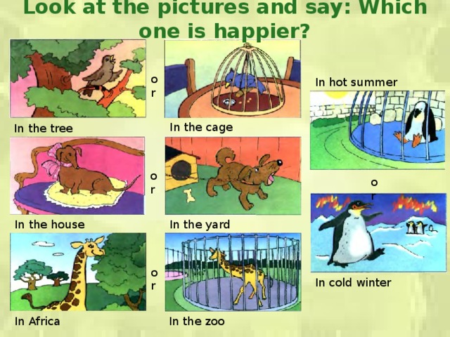 Look at the pictures and say: Which one is happier? or In hot summer In the cage In the tree or or In the house In the yard or In cold winter In Africa In the zoo 