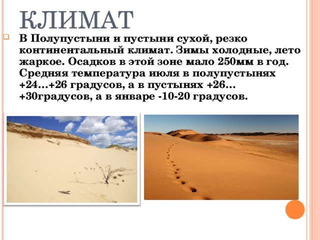Полупустыни температура летом и зимой. Пустыни и полупустыни России климат.