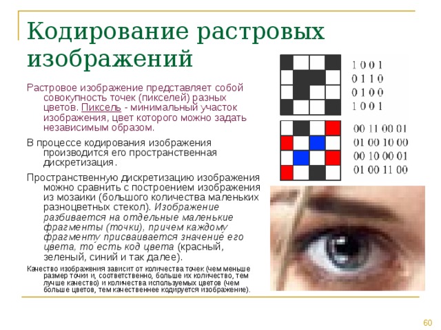 Количество цветов растрового изображения. Что представляет собой растровое изображение. В процессе кодирования изображения производится его. От чего зависит качество растрового изображения. Блок схема процесса кодирования растрового изображения.