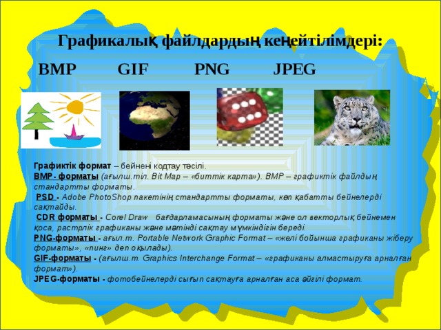 Графикалық файлдардың кеңейтілімдері:  BMP GIF PNG JPEG  Графиктік формат  – бейнені кодтау тәсілі. ВМР- форматы   (ағылш.тіл. Bit Map – «биттік карта»). ВМР – графиктік файлдың стандартты форматы.   PSD  -  Adobe PhotoShop пакетінің стандартты форматы, көп қабатты бейнелерді сақтайды.   CDR форматы  -  Corel Draw   бағдарламасының форматы және ол векторлық бейнемен қоса, растрлік графиканы және мәтінді сақтау мүмкіндігін береді. РNG-форматы  -  ағыл.т. Portable Network Graphic Format – «желі бойынша графиканы жіберу форматы», «пинг» деп оқылады). GIF-форматы  -  (ағылш.т. Graphics Interchange Format – «графиканы алмастыруға арналған формат»). JPEG-форматы -  фотобейнелерді сығып сақтауға арналған аса әйгілі формат. 