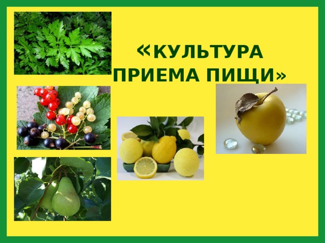 « КУЛЬТУРА ПРИЕМА ПИЩИ» 