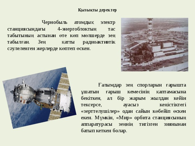   Қызықты деректер    Чернобыль атомдық электр станциясындағы 4-энергоблоктың тас табытының астынан өте көп мөлшерде зең табылған. Зең қатты радиоактивтік сәулеленген жерлерде көптеп өскен.  Ғалымдар зең спорларын ғарышта ұшатын ғарыш кемесінің қаптамасына бекіткен, ал бір жарым жылдан кейін тексерсе, ауасыз кеңістіктегі «зерттелушілер» одан сайын көбейіп өскен екен. Мүмкін, «Мир» орбита станциясының аппаратурасы зеңнің тигізген зиянынан батып кеткен болар. 