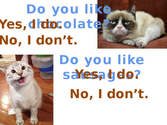 Do you like chocolate? Yes, I do. No, I don’t. Do you like sausages? Yes, I do. No, I don’t. 