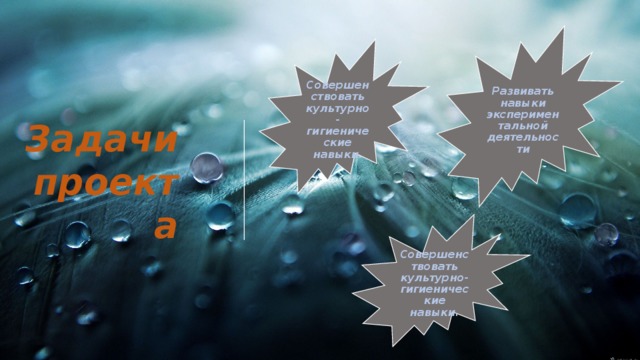 Развивать навыки экспериментальной деятельности Совершенствовать культурно-гигиенические навыки. Задачи проекта Совершенствовать культурно-гигиенические навыки. 